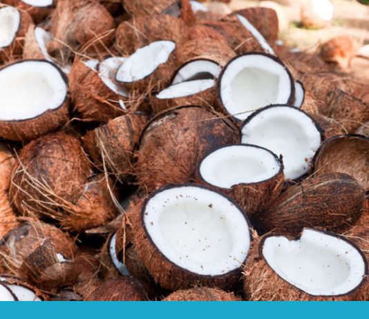 Is Coconut Good for You?