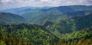 Nice Smoky Mountains Backpacking Gear Listing