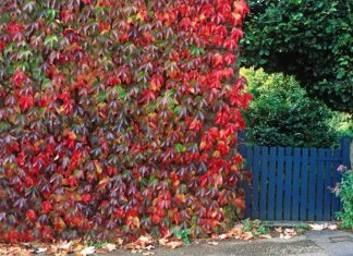 Sizzling-Climate Climbing Suggestions