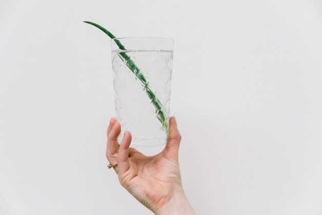 water ALOE VERA drink detox